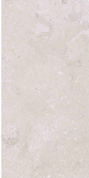OL Port Land Stone Greige Matte 12 x 24